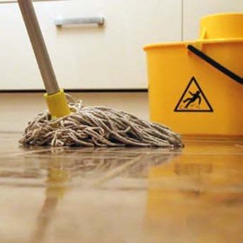 Floor & Carpet Cleaning
