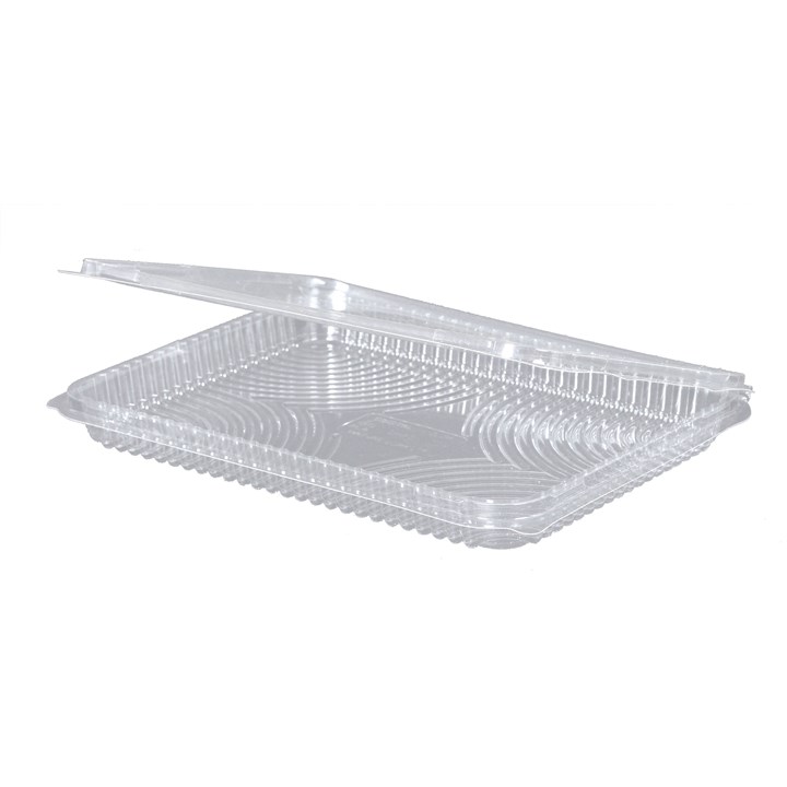 CLEAR PLA CONTAINER 217X167X20MM