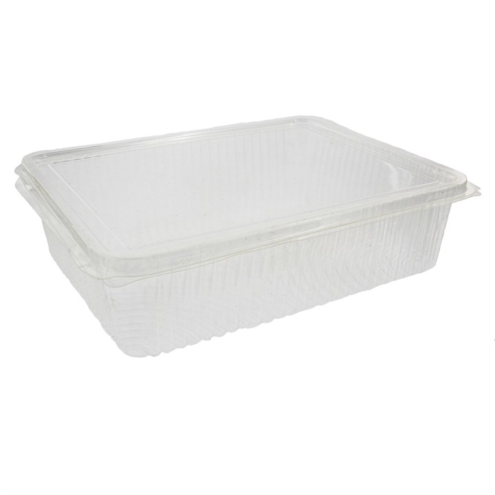 CLEAR PLA CONTAINER 217X167X55MM 10X25S