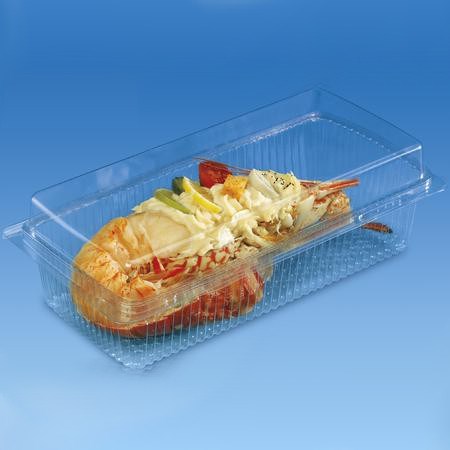 TRAITIPACK RECTANGULAR HINGED PLASTIC PASTRY CONTAINER 230 X 132 X 42MM