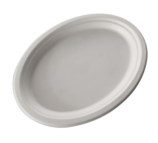 10 inch white bagasse oval plate