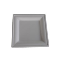 8 INCH SQUARE COMPOSTABLE SUGARCANE PLATE