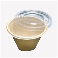 ROUND PULP BOWL 250ML & RECYCLABLE CLEAR LID