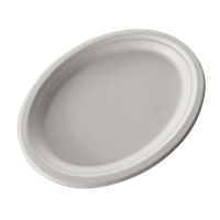 10 inch white bagasse oval plate