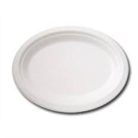 10 WHITE BAGASSE OVAL PLATE